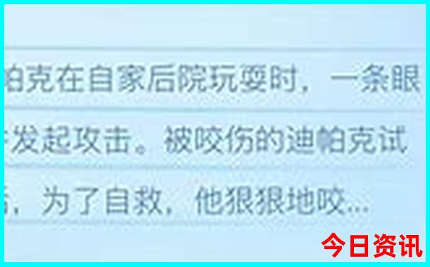 全球最热的城市是哪里